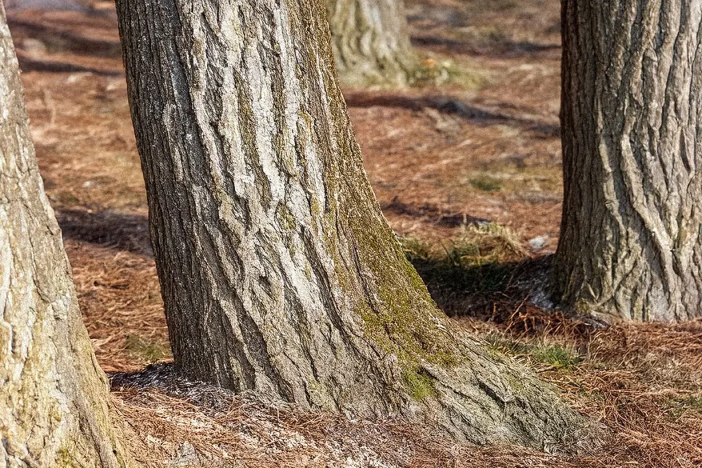 Tencel hamamdoeken bomen copy